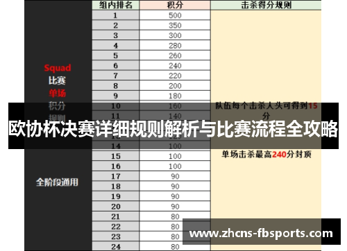 欧协杯决赛详细规则解析与比赛流程全攻略