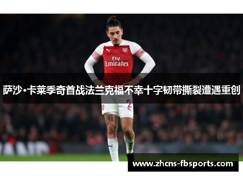 萨沙·卡莱季奇首战法兰克福不幸十字韧带撕裂遭遇重创